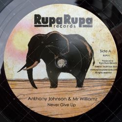 Anthony Johnson & Mr Williamz- Never Give Up