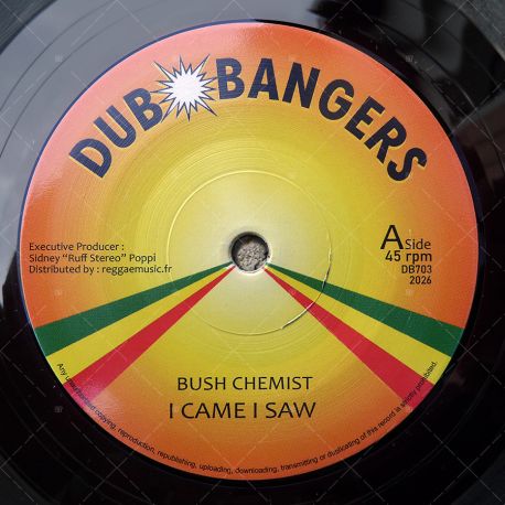 Bush Chemists - I Came I Saw
