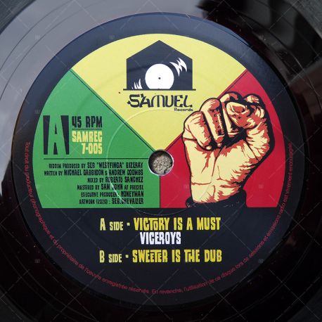 The Viceroys - Victory Is A Must