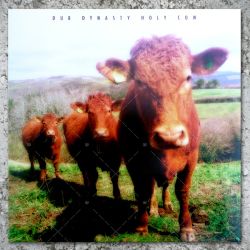 Dub Dynasty - Holy Cow