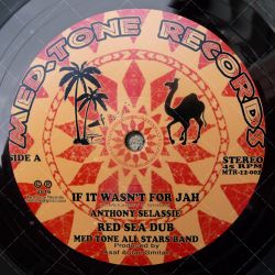 Anthony Selassie - If It Wasn't For Jah