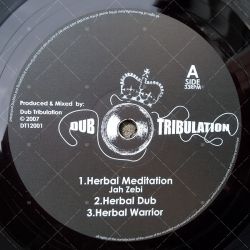 Jah Zebi - Herbal Meditation
