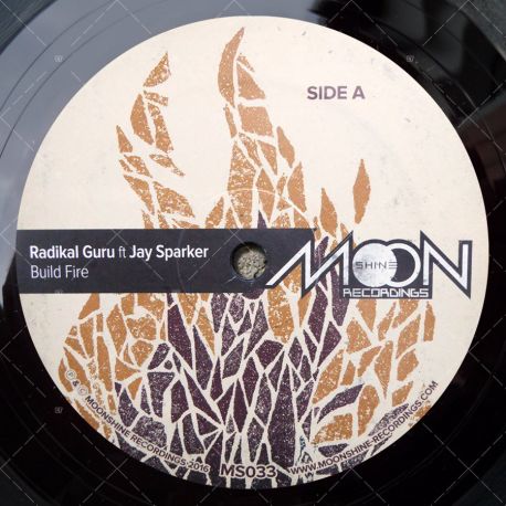 Radikal Guru feat. Jay Sparker - Build Fire