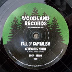 Conscious Youth - Fall Of Capitalism