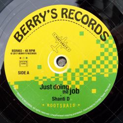 Shanti D - Just Doing The Job