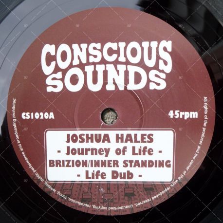 Joshua Hales - Journey Of Life