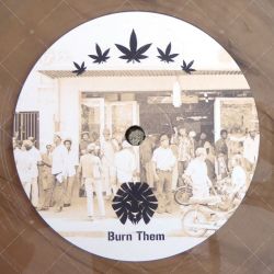 Mystic Pulse - Burn Them