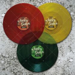 Indica Dubs meets Shiloh Ites - Book Of Dub Series