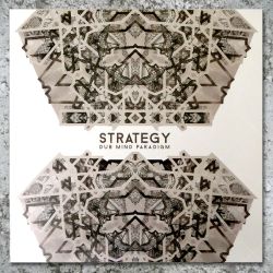 Strategy - Dub Mind Paradigm