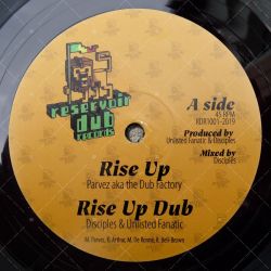 Disciples & Unlisted Fanatic feat. Parvez - Rise Up