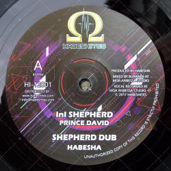 Prince David - InI Shepherd