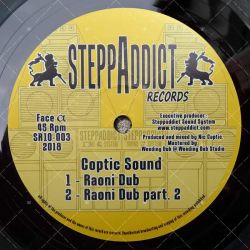 Coptic Sound - Raoni Dub / Wise Rockers - Higher Soul
