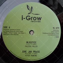 Chester Miller - Injustice