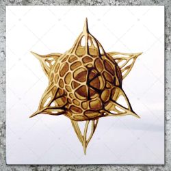 Zion Train feat. Prince Jamo - Politrix