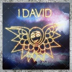 I David - Nyah Chant / Safe Journey