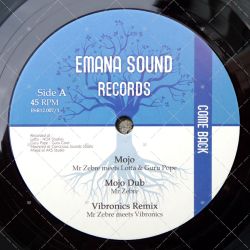 Mr Zebre meets Lotta & Guru Pope - Mojo