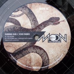 Dubbing Sun feat. Echo Ranks - Politicians