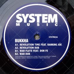 Bukkha feat. Ranking Joe - Revolution Time
