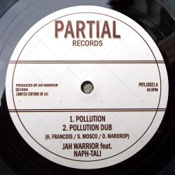 Jah Warrior feat. Naph-Tali - Pollution