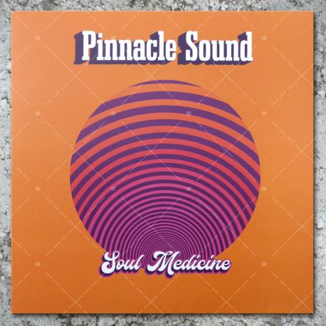 Pinnacle Sound - Soul Medecine