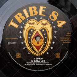 Violinbwoy meets Jerry Lionz & Vale - Bongo