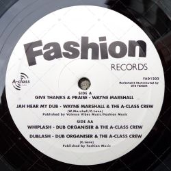 Wayne Marshall - Give Thanks & Praise