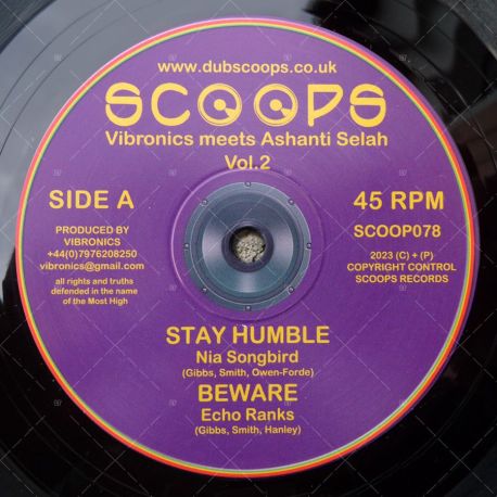 Vibronics meets Ashanti Selah feat. Echo Ranks & Nia Songbird