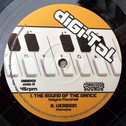 Wayne Marshall - The Sound Of The Dance