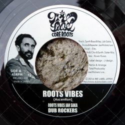 Dub Rockers - Roots Vibes