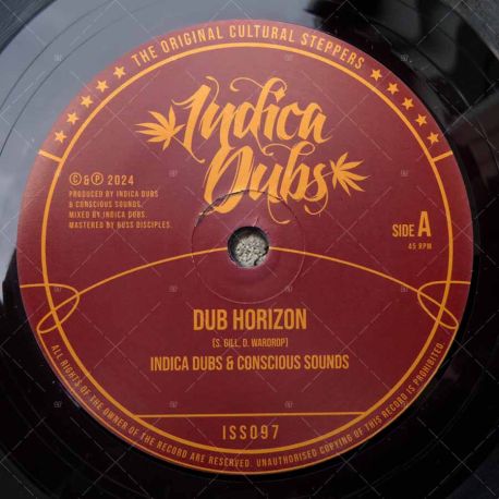 Indica Dubs & Conscious Sounds - Dub Horizon